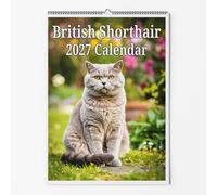 British Shorthair Wall Calendar - Choice Of Sizes - A3 Cat Calendar - Cat Lovers Monthly Planner 2027