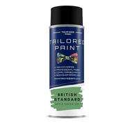 BRITISH STANDARD APPLE GREEN 281 GLOSS Aerosol Spray Paint Wood Metal Upvc