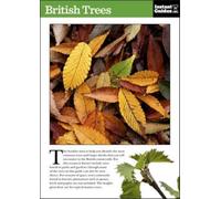 British Trees : The Instant Guide