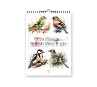 British Wild Birds 2026 Yearly Wall Hanging Calendar - Splash Effect Watercolour Prints
