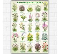 British Wildflowers Botanical Poster | Vintage Style Native UK Wild Flower Wall Art | Botanical Illustration PRINT | A3