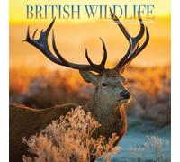 British Wildlife 2026 Calendar