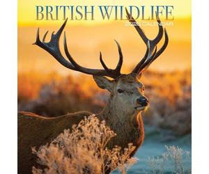 British Wildlife 2026 Calendar