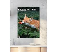 British Wildlife 2026 Calendar, A3, Wirobound, Full Colour