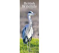 British Wildlife 2026 Calendar | Slimline Wall Calendar | Animal & Wildlife Gift | Plastic Free Packaging | by Avonside Publishing