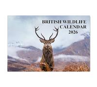 British Wildlife Calendar 2026 12 Month to View A4 Wall Calendar 2026 A3 When Open Calendar 2025 Wildlife Papa Prints