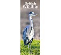 British Wildlife Slim Calendar 2026 Slimline Calendar - 12 Month