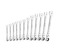 Expert by Facom 12 Piece Flexible Ratchet Head Combination Spanner Set