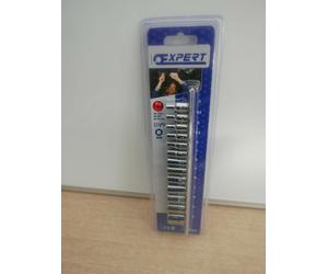 BRITOOL EXPERT BY FACOM 13PCE 1/4" DRIVE SOCKETS SET + RAIL E194675