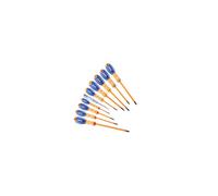 Expert Facom E160912 Insulated Screwdriver Set (10 Pieces)