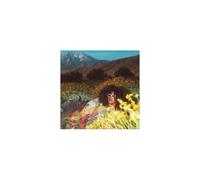 BRITTANY HOWARD: WHAT NOW - CD