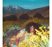 Brittany Howard - WHAT NOW [VINYL]