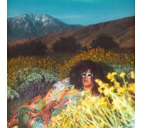 Brittany Howard - WHAT NOW - Standard Black Vinyl - G3z
