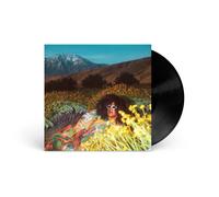 Brittany Howard - What Now [VINYL]