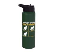 Brittany Spaniel Guide to Training - American Brittany Stainless Steel Insulated Water Bottle