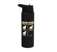 Brittany Spaniel Guide to Training - American Brittany Stainless Steel Insulated Water Bottle