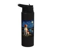 Brittany Spaniel Starry Night Marsh - American Brittany Stainless Steel Insulated Water Bottle