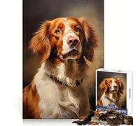 Brittany Spaniel Teenagers Puzzles 1000 Piece Jigsaws Boost Memory Mind Soothing Fun Quality Cut Ideal Present (38x26cm)