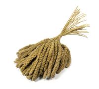 Britten & James Premium Quality Large 10 inch Millet Sprays for Birds (1kg)