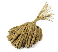 Britten & James Premium Quality Large 10 inch Millet Sprays for Birds. Approx. 1kg. Treat your birds to a healthy, stimulating, natural, low fat treat