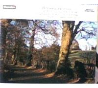 Britten - Variations on a Theme of Frank Bridge