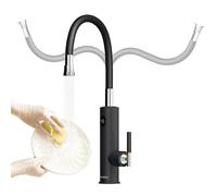 Briwellna Stainless Instant Water Heating Kitchen Tap with Digital Display, 220V Tankless Electric Hot Water Faucet with Universal Spout and Flexible Swivel Silicone Hose (Black)