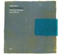 BRO, Jakob/THOMAS MORGAN/JOEY BARON - Bay Of Rainbows - Vinyl (LP)