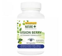 BROADREACH NATURE Vision Berry 30 Capsules