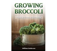 Broccoli Growing: Planting, Growing, Harvesting
