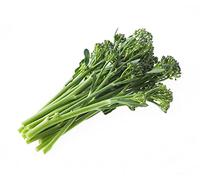 Broccoli Plants, Broccoli 'Tenderstem', 12 x Full Plant Pack, Vegetable Plants, Grow Your Own, Garden Veg, Fresh Produce, Garden Ready and Ready to Plant, Premium Quality Vegetables