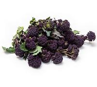 Broccoli Plants, Purple Sprouting Broccoli, 4 x Plug Plant Pack, Winter Vegetable Plants, Winter Vegetables, Grow Your Own, Garden Ready and Ready to Plant, Premium Quality Vegetables