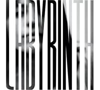 Broderick,Heather Woods - Labyrinth (Grey Vinyl) [VINYL]