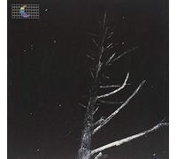 Broderick, Peter - (Colours of the Night) Satellite [VINYL]