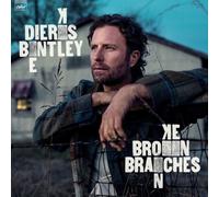 Broken Branches