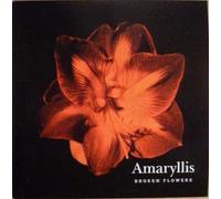Broken Flowers - Amaryllis CD UK Broken Flowers 2014