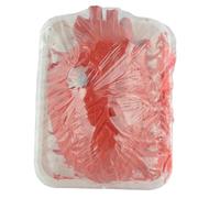Broken Heart Prank Trick, Horror Bloody Heart Broken Severed Halloween Party Prank Props with Dish, Halloween Party Props