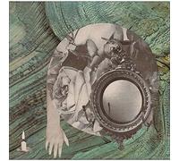 Broken Limbs Excite No Pity [VINYL]