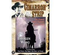 Broken Wing