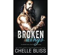 Broken Wings: 3 (Open Road Series)