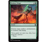 Broken Wings | Foundations