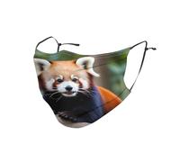 BROLEO Adult Masks Reusable 1 Pcs Soft Breathable Suitable For Camping, Running, Traveling Daily Use Red Panda Picture
