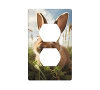 BROLEO Bunny on Green Grass Printing Double Socket Wall Panel Decorative for Residential and Commercial Areas 4.5x2.76in