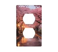 BROLEO Cherry Blossoms in Washington, DC Printing Double Socket Wall Panel Decorative is Durable and Suitable for Socket Light Switch Accessories 4.5x2.76in