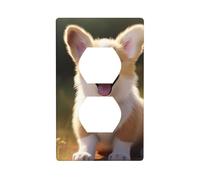 BROLEO Corgi Puppy Printing Double Socket Wall Panel Decorative is Durable and Suitable for Socket Light Switch Accessories 4.5x2.76in