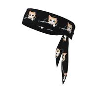 BROLEO Kitten in the cracked wall Prints Sports headscarf, sweat absorbing and breathable, motion headband, double-sided kerchief