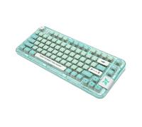 BROLEO Mechanical Keyboard, 80 Key Desktop Keyboard, Ergonomic Triple Modes, Transparent for School (Green)