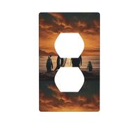 BROLEO Penguin Looking at The Sky Printing Double Socket Wall Panel Decorative for Residential and Commercial Areas 4.5x2.76in