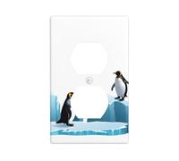 BROLEO Penguins on ice Printing Double Socket Wall Panel Decorative is Durable and Suitable for Socket Light Switch Accessories 4.5x2.76in
