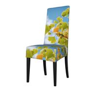BROLEO Protection cover for dining chair Ginkgo leaves under the blue sky Printed - Soft, Comfortable, Needed Stretchable for Most Armless Chair