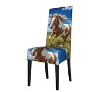 BROLEO Removable Dining Chair Covers Horses on the Prairie Picture - Soft, Comfortable, Wrinkle Resistant, No Ironing Needed Stretchable for Most Armless Chair